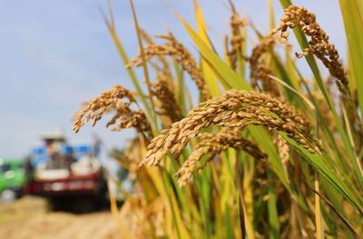 江蘇南通 財政金融協同支農，省內首創農擔貼息政策